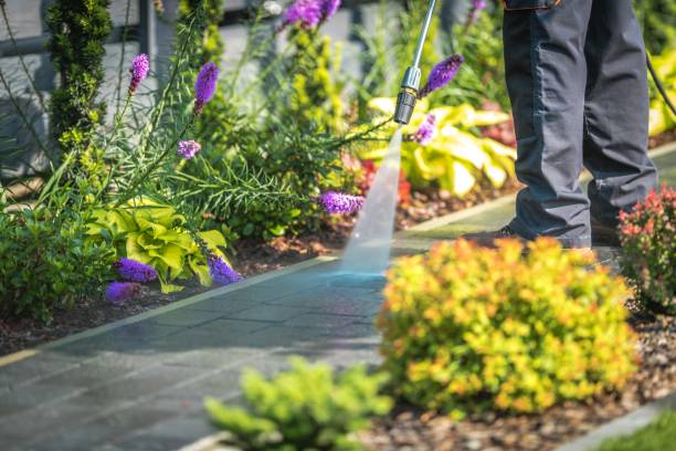 Best Spring Cleaning  in Lexington, NE